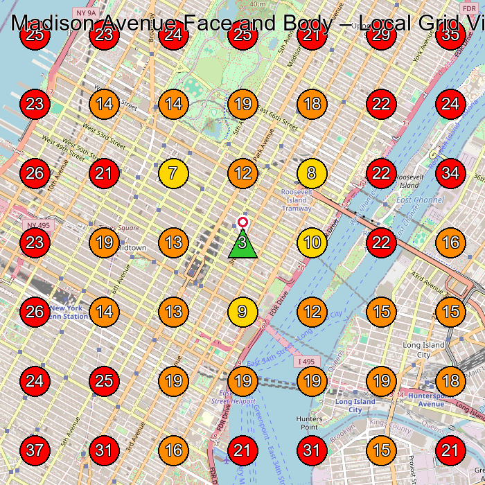 Madison Avenue Face and Body GeoGrid visibility map for Medical Spa in New York